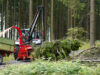 TP Kranhacker beim holzhäckseln im Wald