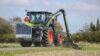 Greentec Ausleger Scorpion beim mulchen