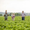 Familie Kemmler auf dem Feld