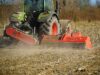 Nahaufnahme Dragone Extreme auf Feld