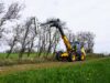 Multiträger Puma mit Astsäge an Teleskoplader